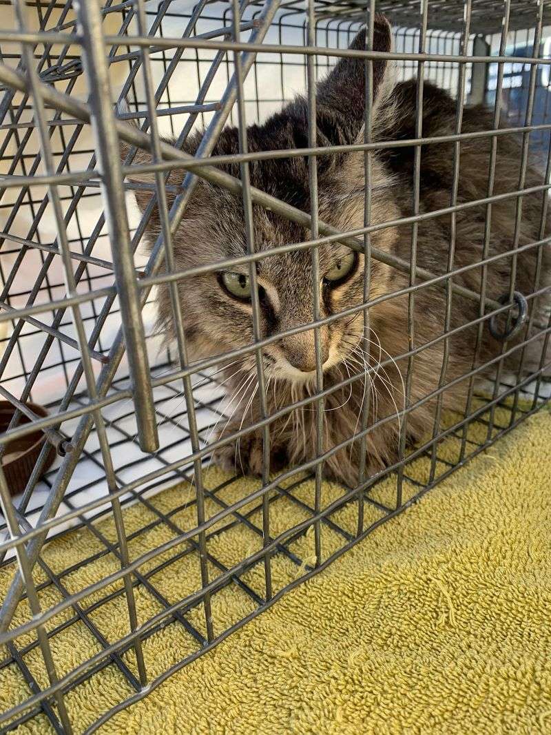 One Visit Packs In A Surprising Amount Of Care