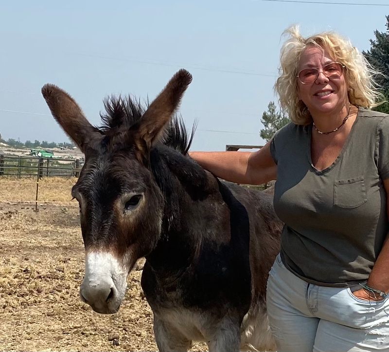 One Woman Noticed Farm Animals Had Nowhere To Turn