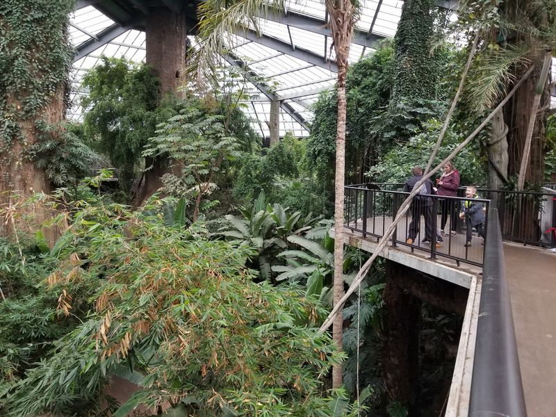 The Spring Day In 1992 When Omaha Got A Jungle