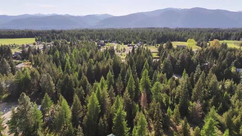 How A Village Of Logs Grew