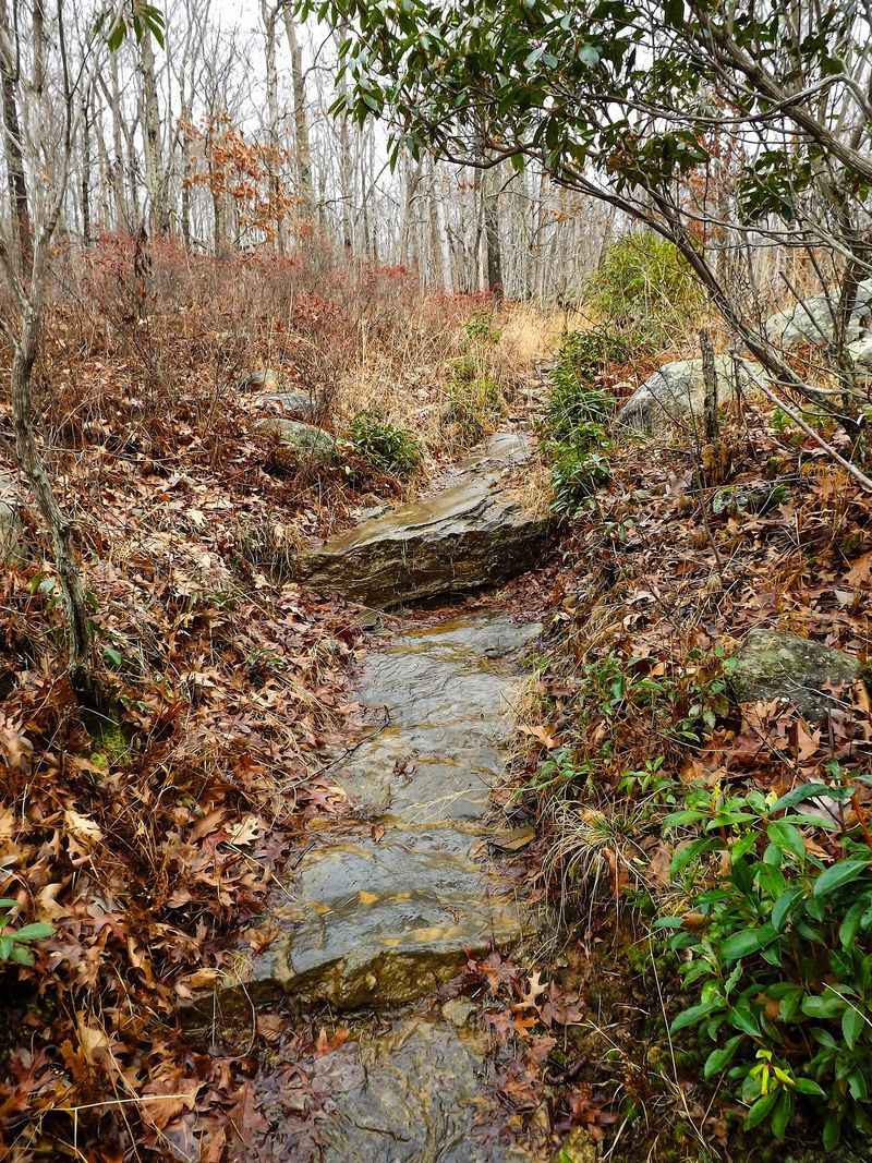 Five Miles Of Trail And Then Some More