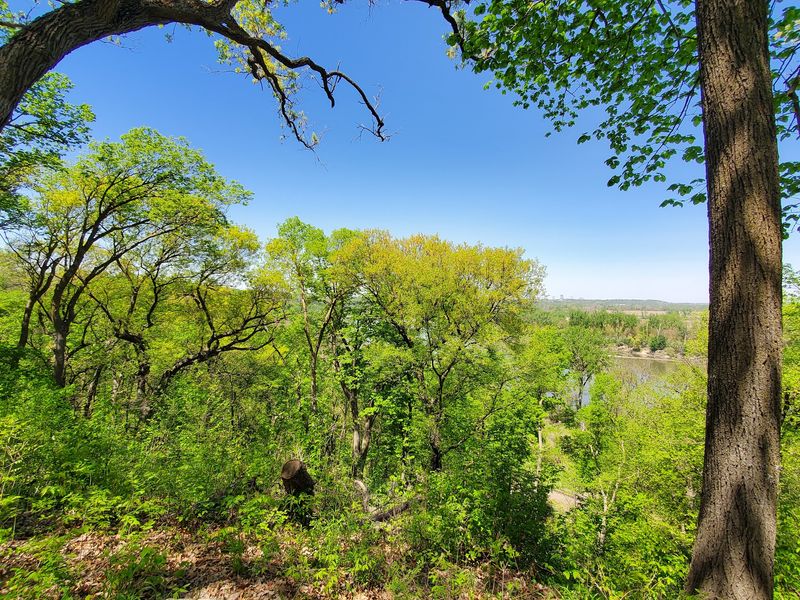 Over a Century of Keeping the Woods Wild