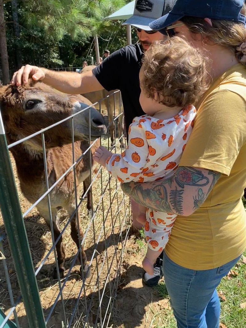 Eco-Friendly Farm Living Is Part Of The Mission