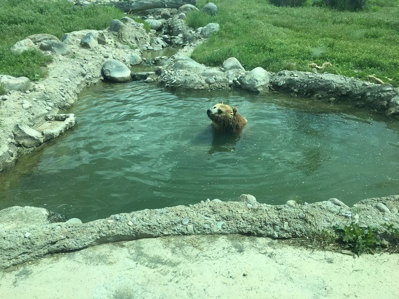 How The Old Pocatello Zoo Became Something New