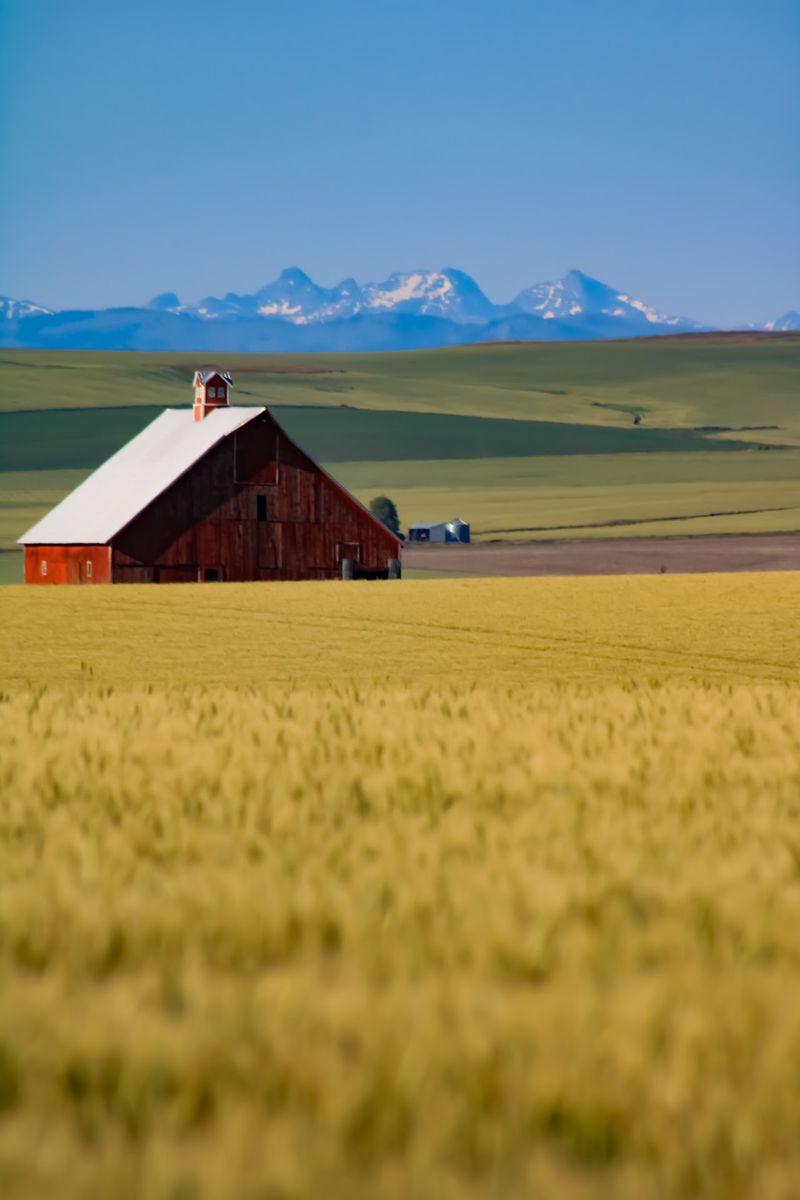 About 3,300 People Live In This Idaho Prairie Town Where Grain Elevators Tower Over Main Street - Decor Hint A Prairie Town Perched Above The Canyons