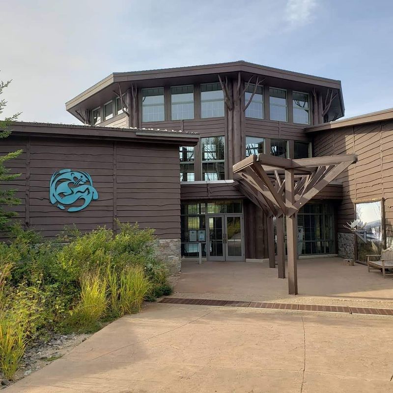 TROLLS: Save The Humans, The Wild Center