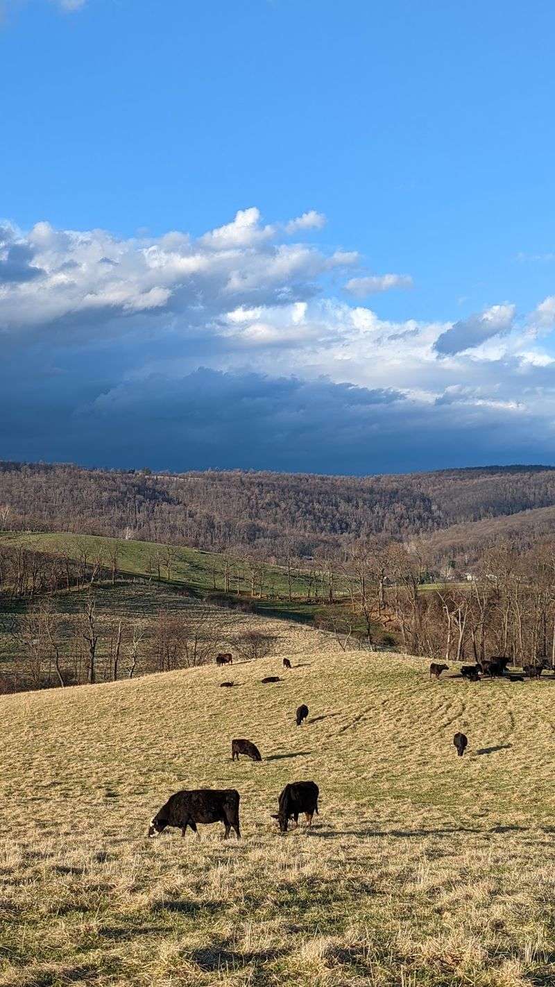 A Wealthy Virginia Philanthropist Donated 1,100 Acres Of Farmland And Turned It Into A Scenic Public Escape - Decor Hint Little Explorers Get Their Own Corner