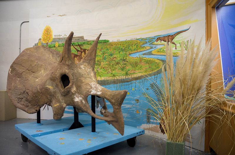 Eleanor Barbour Cook Museum of Geology