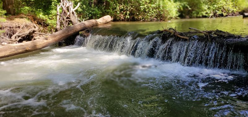 9 Free Washington Campgrounds Where You Can Escape Without Paying For The Campsite - Decor Hint Ahtanum Meadows, Tampico