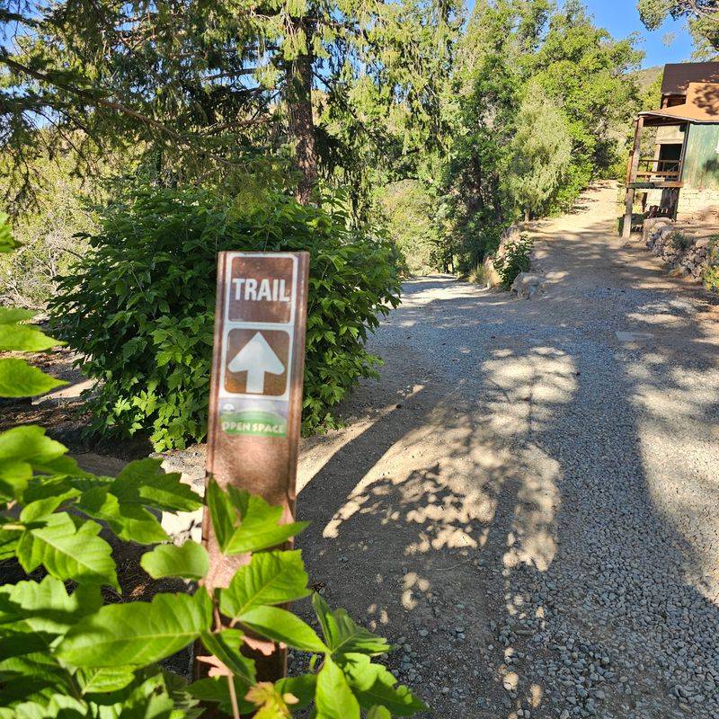 Carlito Springs Loop, Cedar Crest