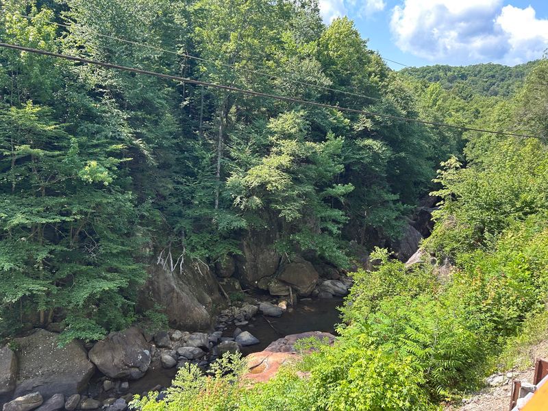 Down Six Hundred Feet Of Green