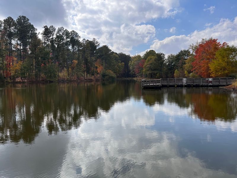 Pee Dee National Wildlife Refuge