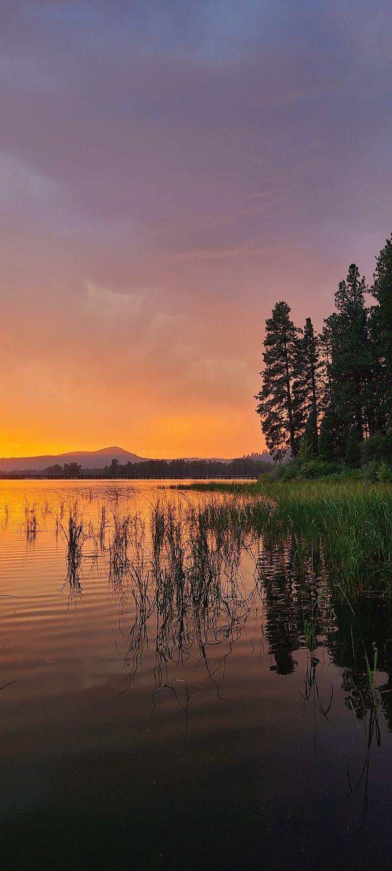 Benewah Lake Campground