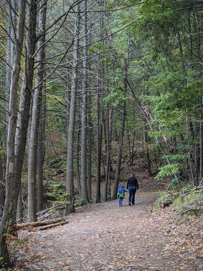 Wooded Trails Lead Through Changing Fall Color