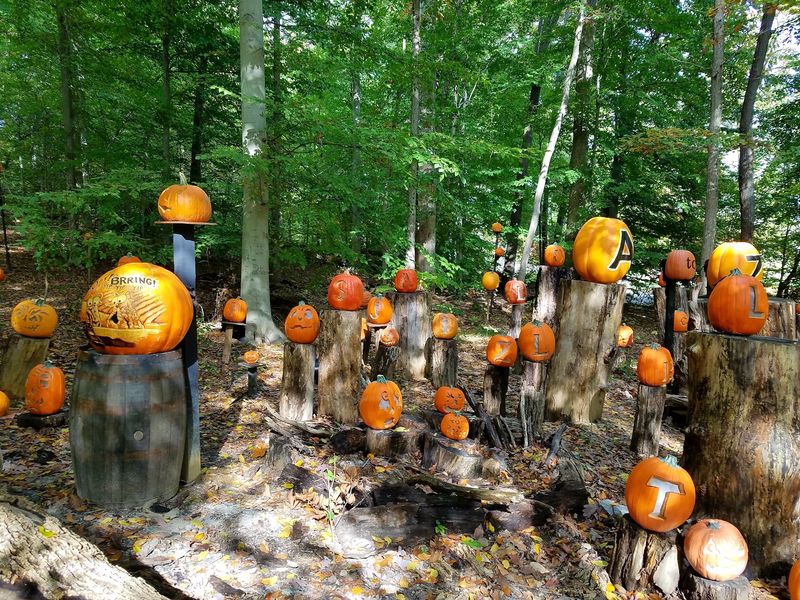Your Calendar Needs A Mid-October Circle