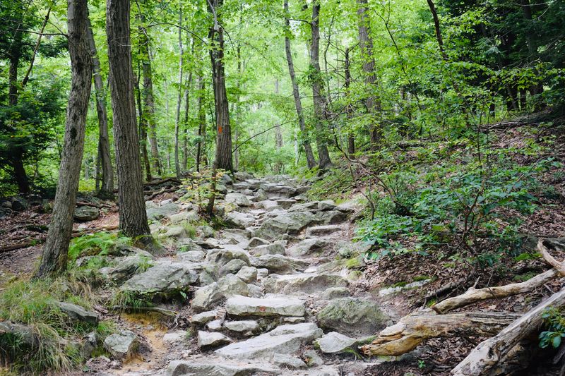 Every October, Thousands Of Hawks Stream Past This Pennsylvania Mountaintop Lookout - Decor Hint Rocky Climbs To The North Lookout And Beyond