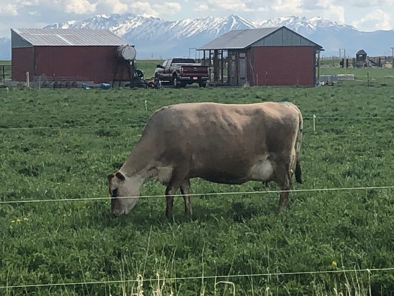 Why This Farm Earns A Spot On Your Next Day Trip