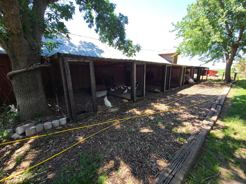 More Than 400 People Once Found Shelter On This Same Ground