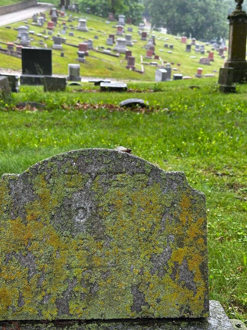 The 1860s Hillside Mystery