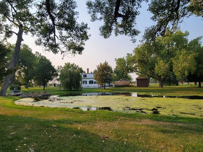 Shady Grounds Made For A Slow Picnic