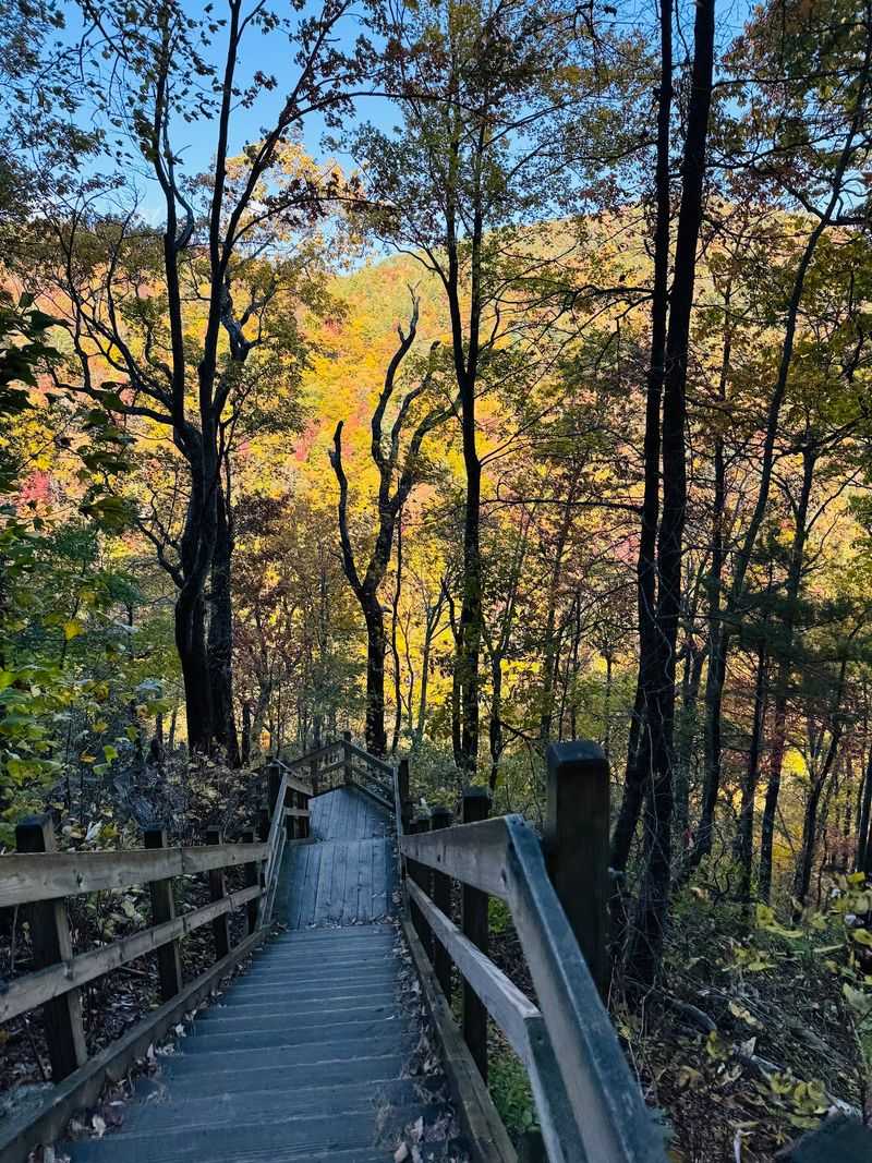 This 411-Foot North Carolina Waterfall Is Roaring With Millions Of Gallons Of Water After Days Of Heavy Rain - Decor Hint Fall Color Makes The Gorge Look Even Wilder Around The Cascades