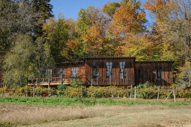 Cumberland Folk School