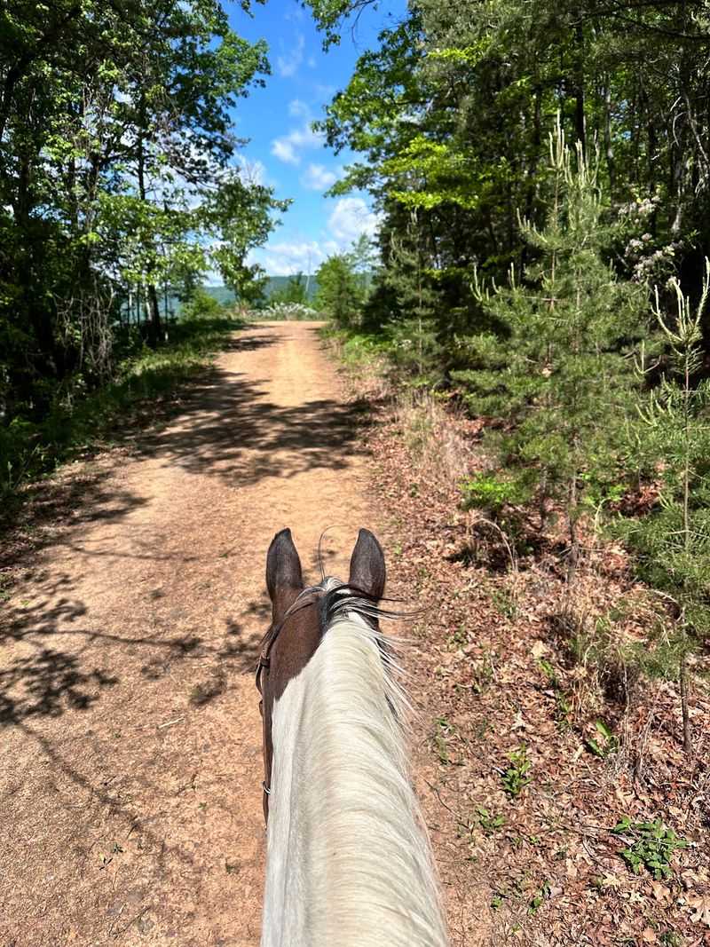 Let's Ride Horses, Hot Springs