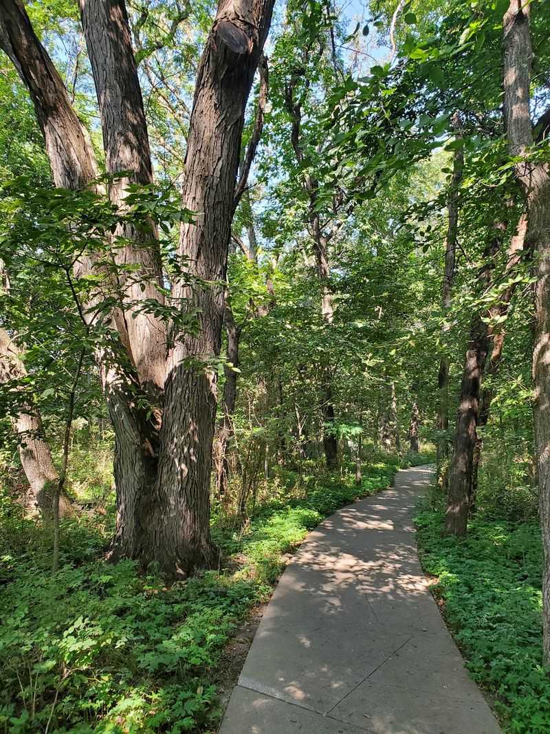 Every Fall Nebraska's Oldest Apple Orchard Presses Cider From Trees Planted In The 1870s - Decor Hint Heirloom Apples With Family Trees Older Than America