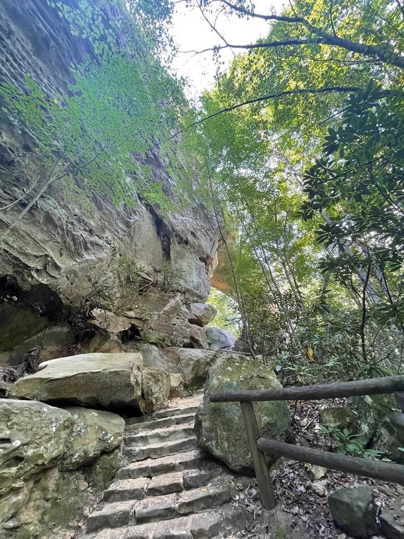Natural Bridge State Resort Park