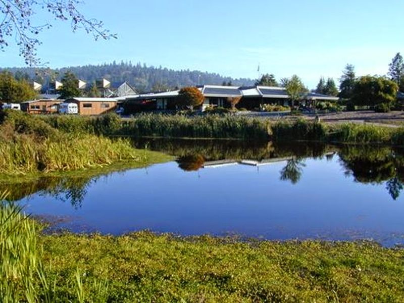 The College's Forestry And Natural Resources Programs Connect Students With The Surrounding Environment
