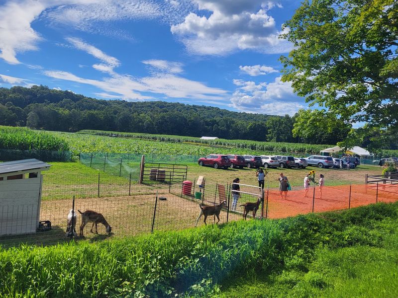 We Ranked The 9 Best Country Farm Markets In Connecticut And Here Are The Results - Decor Hint The Farm, Woodbury