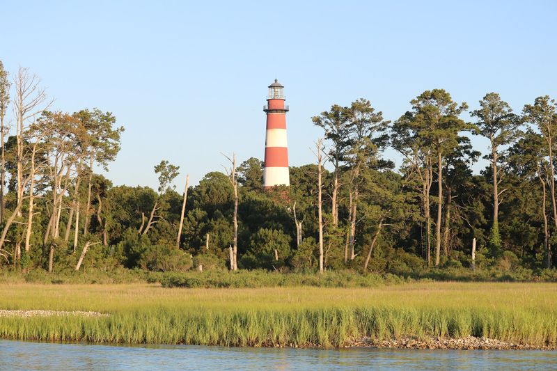10 Virginia Bird Sanctuaries Where A Quiet Morning Can Turn Into Something Unforgettable - Decor Hint Chincoteague National Wildlife Refuge