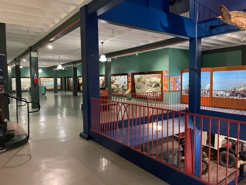 Visiting Hours, Accessibility And The Arboretum Next Door
