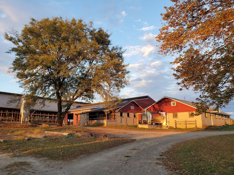 Fairholm Farm, Woodstock