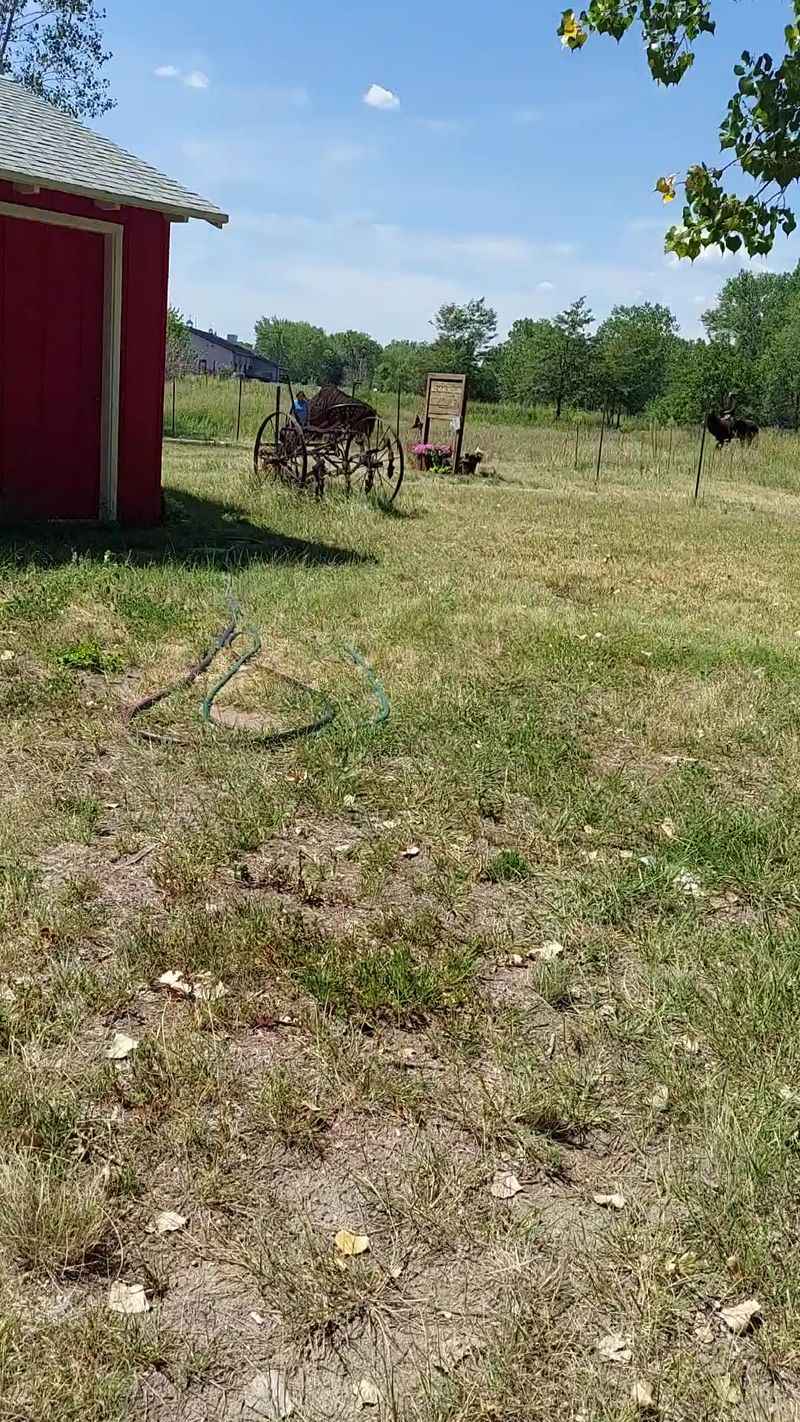 Wagons, Stagecoaches, And A Pony Express Connection