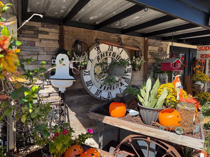 Inside This Florida Antique Mall, Three Hundred Dealer Booths Fill One Giant Old Building - Decor Hint Gardeners Might Leave With A Back Seat Full Of Green