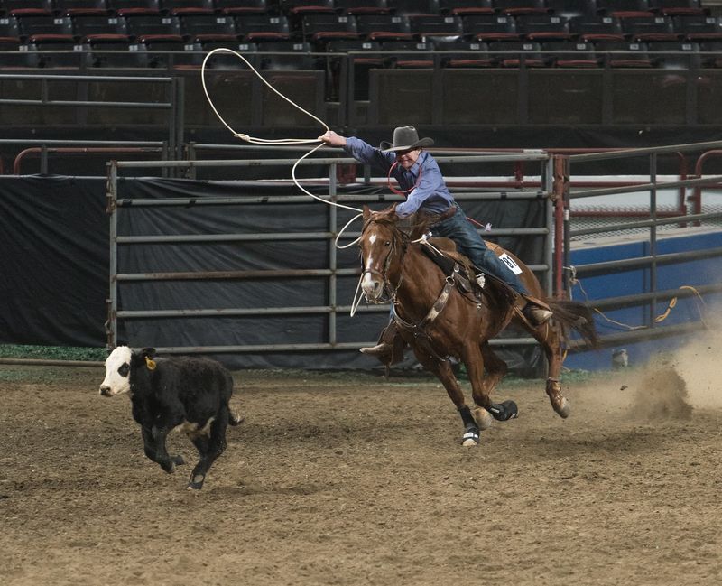 Ropers And Steer Wrestlers Make Ranch Work Look Lightning Fast