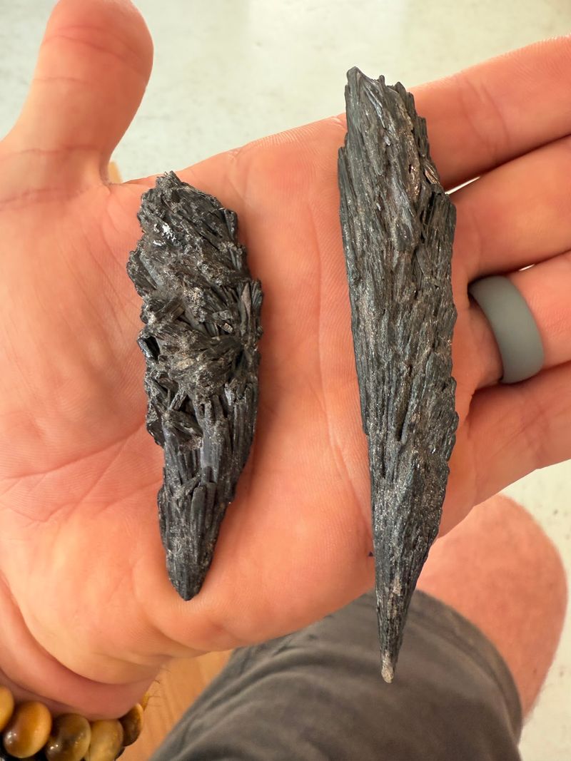Fossils, Slabs And Other Cool Things To Admire