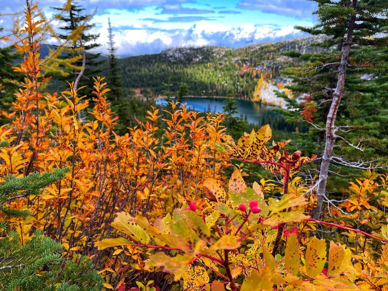 Autumn Color And A Gentle Verdict
