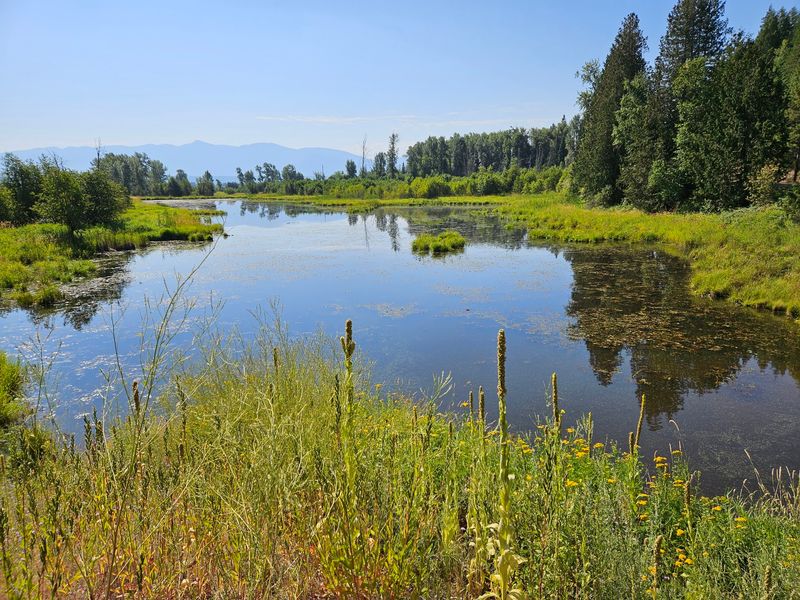 Why Migratory Birds By The Hundreds Stop At These 8 Idaho Wetlands - Decor Hint Kootenai National Wildlife Refuge, Bonners Ferry, ID
