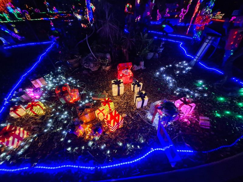 Why This Glowing Yard Feels Like A Gift