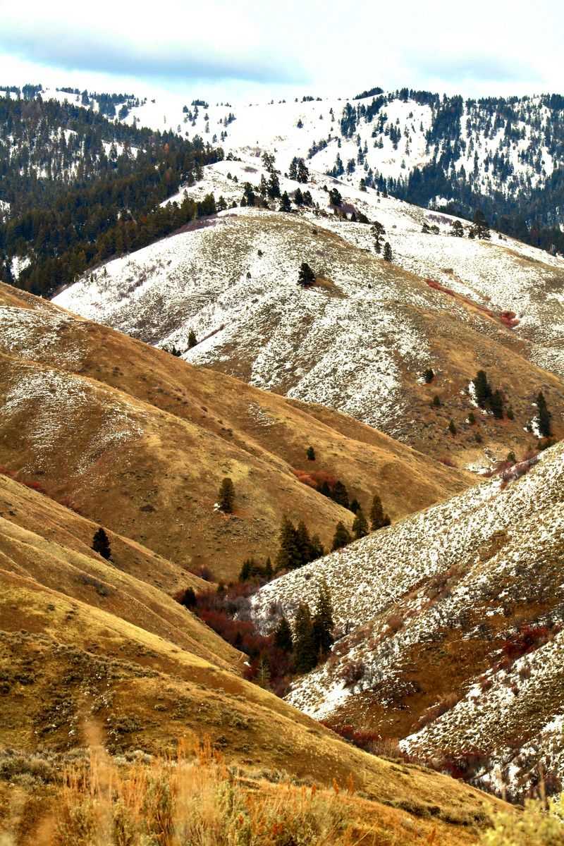 A Mountain Above The Treasure Valley
