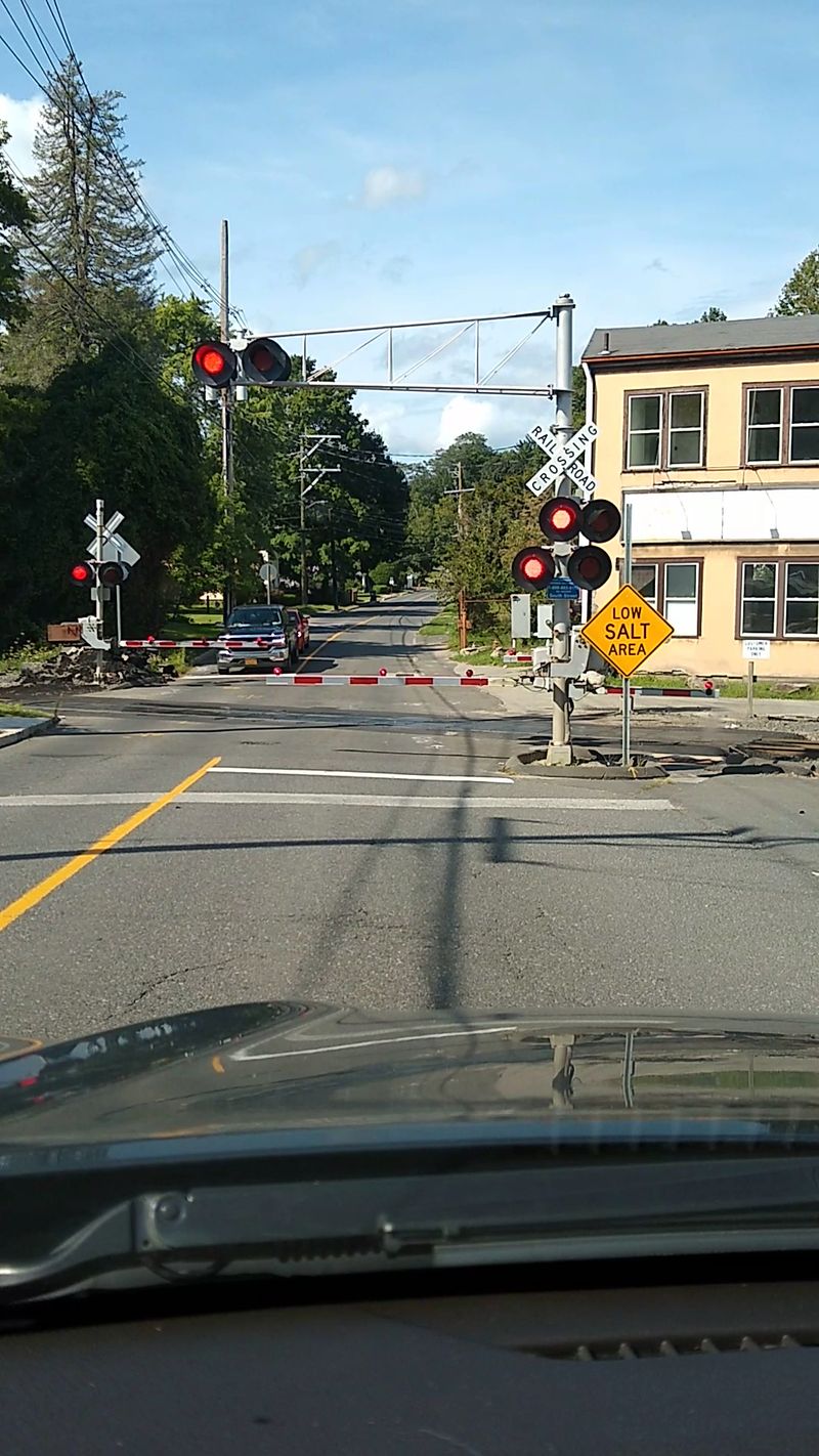 These 11 Connecticut Towns Have The Most Deer Collisions And Fall Is The Riskiest Season - Decor Hint Bethel