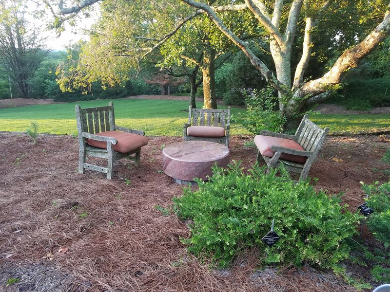 Baker Arboretum & Downing Museum