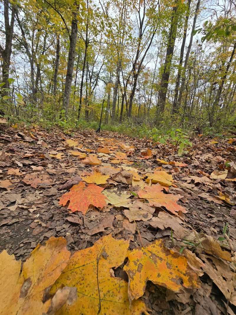 Raven Run Nature Sanctuary, Lexington