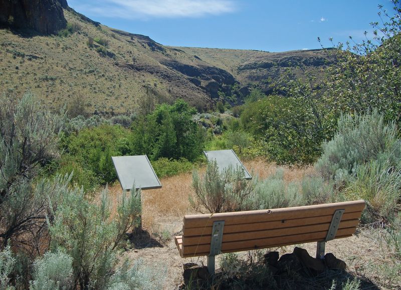 9 Free Washington Campgrounds Where You Can Escape Without Paying For The Campsite - Decor Hint Douglas Creek, Waterville