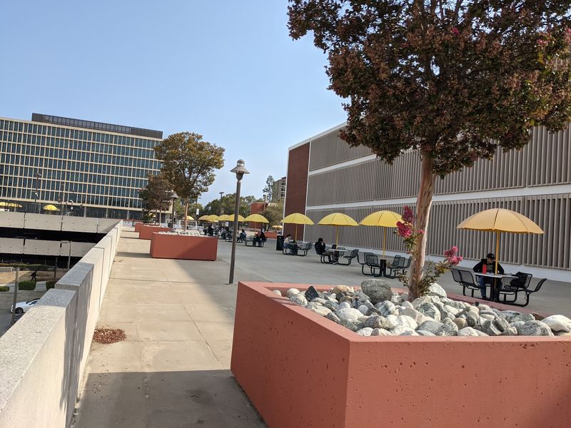 This California University Just Earned A Spot Among America's Best For Turning Degrees Into Better Futures - Decor Hint Getting Here Is Easier Than You Might Expect