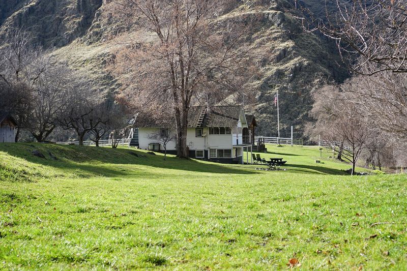 Picnic Tables, Trails, And A Field For Your Tent