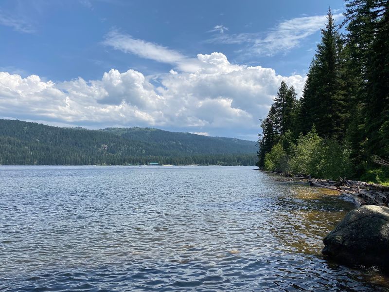 Beach Days, Paddles, And Dog-Friendly Swims