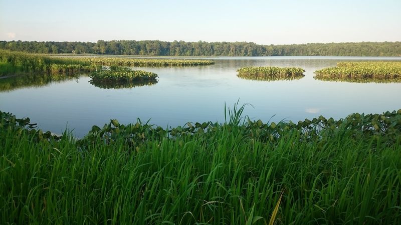 Nothing Beats A Hike Through This Peaceful 1,700-Acre Maryland Sanctuary - Decor Hint Beavers, Otters, And Turtles Run The Neighborhood
